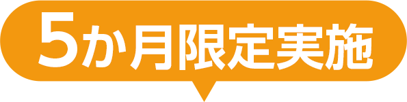 5か月限定実施